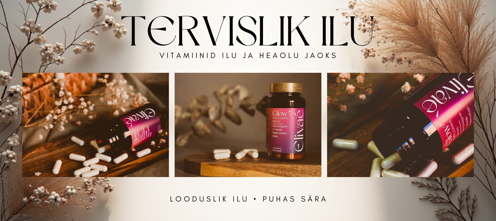 elivae toidulisandid banner